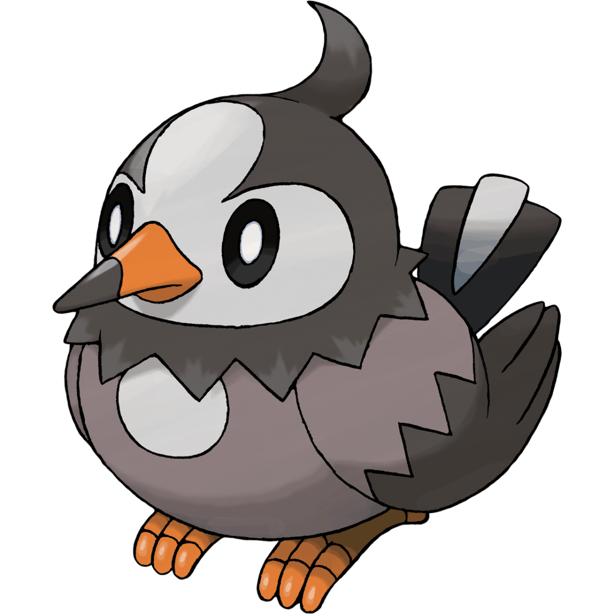 Starly, Staravia, Staraptor